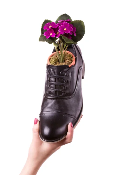 Sapatos para homens — Fotografia de Stock