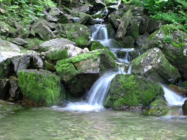 stock image Flowing stream