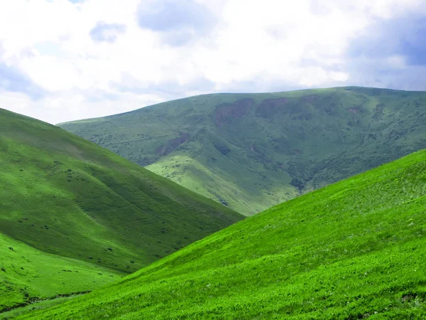 stock image The high green hill