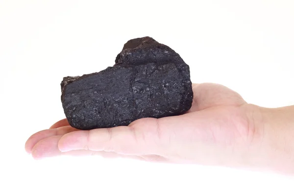 Pieces of coal in palm — Stock Photo, Image