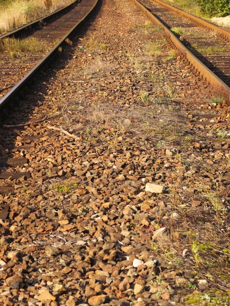 Rail Road Tracks — Stock Photo, Image