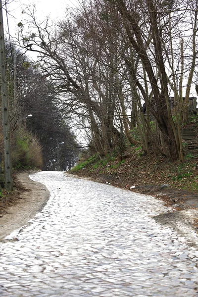 Eski bir Arnavut kaldırımlı yol — Stok fotoğraf
