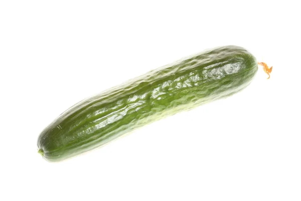 Green Cucumber isolated — Stock Photo, Image