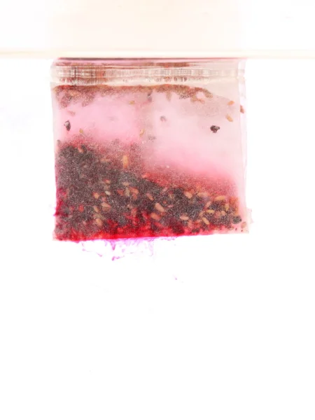 Teabag rosso in acqua calda — Foto Stock
