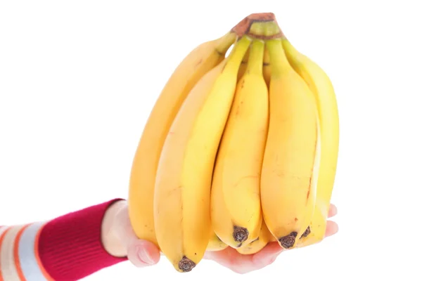 Ramo de plátanos aislados sobre fondo blanco —  Fotos de Stock