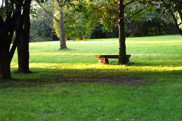 stock image Picnic place