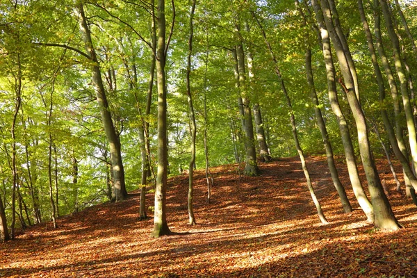 stock image Rural autumn scenery