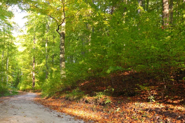 Paesaggio rurale autunno — Foto Stock