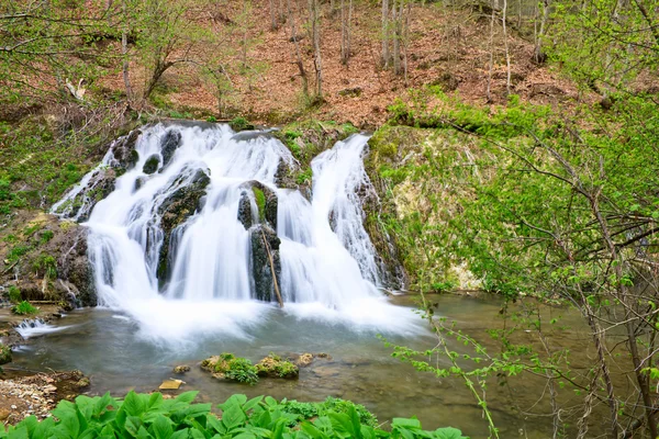 stock image Waterfall in the forest in spring