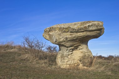 Stone mushroom clipart