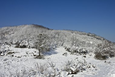 karlı dağlar