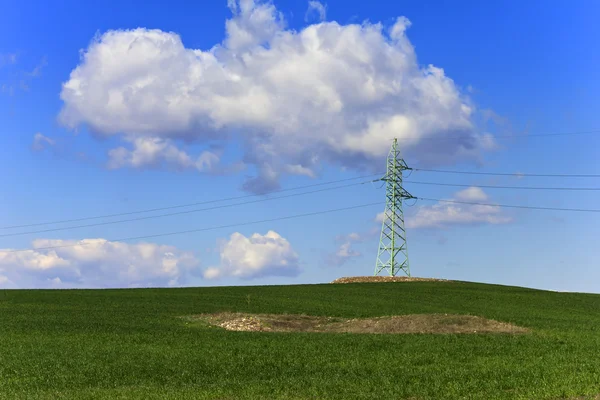 Electric pillar of green wheat field — Stock Photo, Image