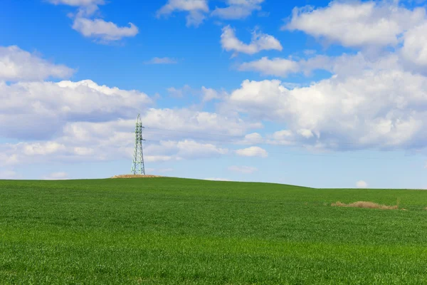 Pšeničné pole a elektřiny pylonu — Stock fotografie