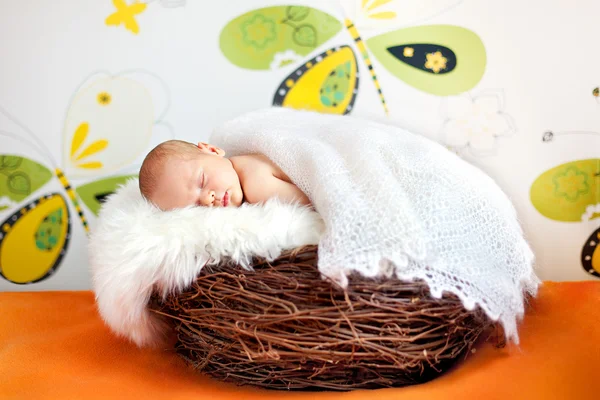 Słodkie dziecko śpi w gniazdo — Zdjęcie stockowe