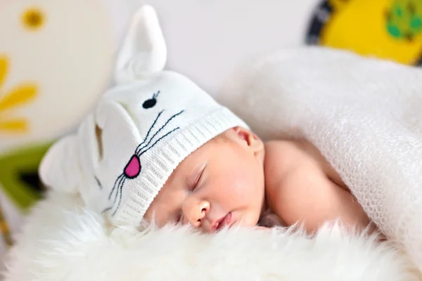 Cute baby bunny is wearing a hat — Stock Photo, Image