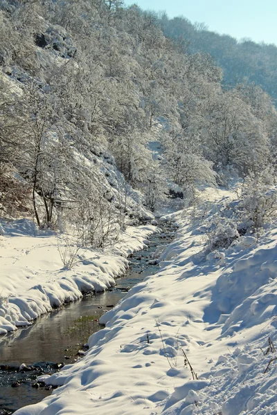 冬の川 — ストック写真