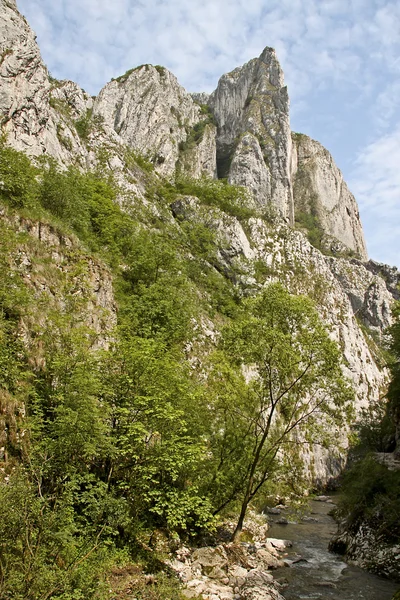 Turda φαράγγια, ακρωτήριο βελόνα — Φωτογραφία Αρχείου