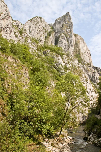 Turda Gorges, agulha do cabo — Fotografia de Stock