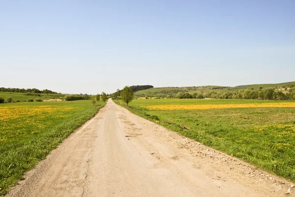 stock image Field road