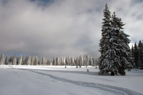 Bir kış alanı — Stok fotoğraf