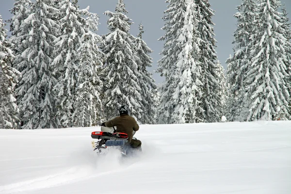 Mann auf einem Schneemobil — Stockfoto
