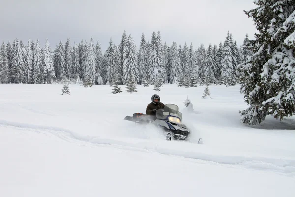 Man op een sneeuwscooter — Stockfoto