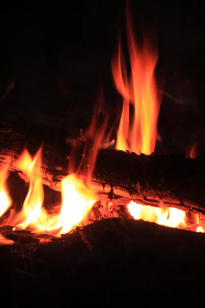 Campfire το βράδυ — Φωτογραφία Αρχείου