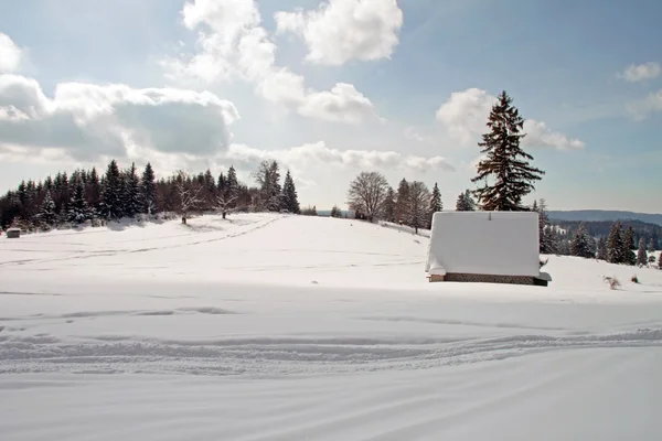 Zimowy pejzaż z mały domek — Zdjęcie stockowe