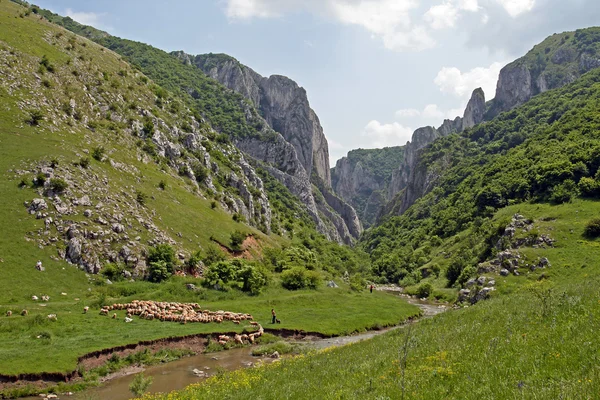 Gargantas de Turda — Foto de Stock