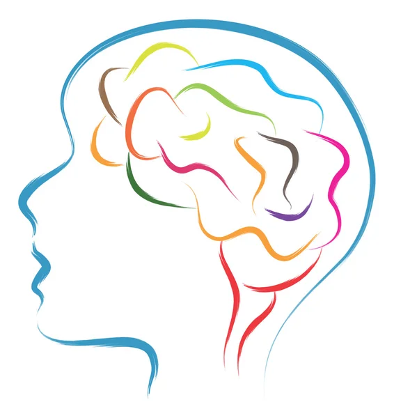 Head and brain — Stock Vector