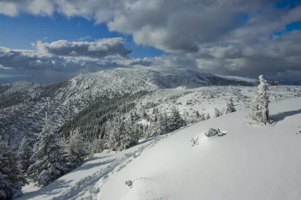 Гора покрыта снегом — стоковое фото