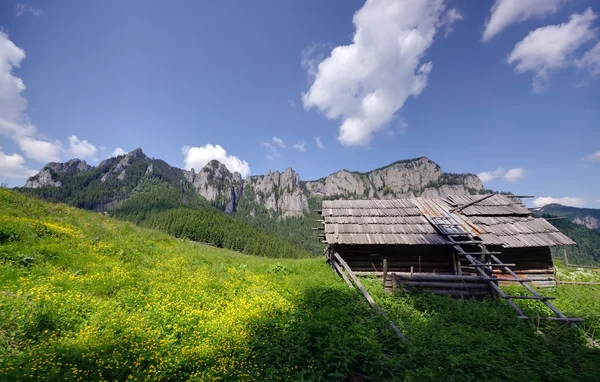 Літній гірський ландшафт — стокове фото