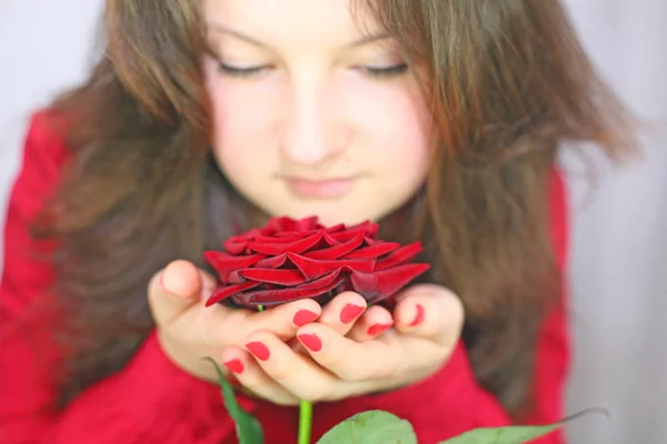 Girl holds a rose — Stock Photo, Image
