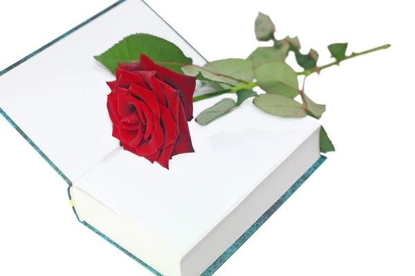 Rose con un libro — Foto de Stock