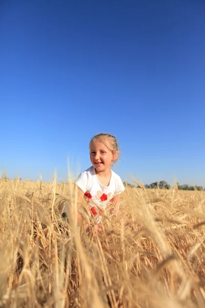 Flicka på ett vetefält — Stockfoto