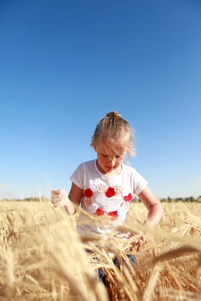 Girl playing in a field of wheat — Stock Photo, Image