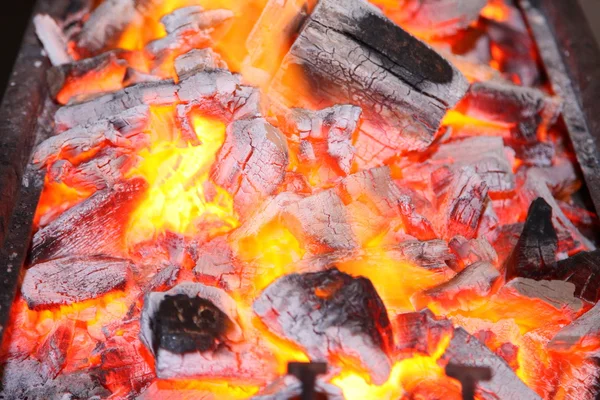 Stock image Fire barbecue