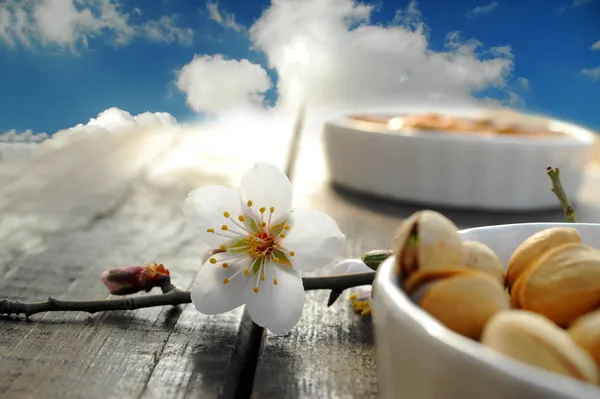 Ořechy, květy a obloha — Stock fotografie