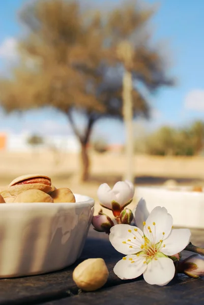 Amandel bloemen en pimpernoten (pistaches) — Stockfoto