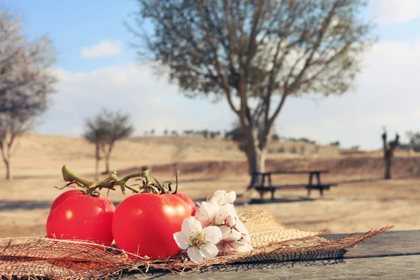 Pomodori biologici cibo sano — Foto Stock