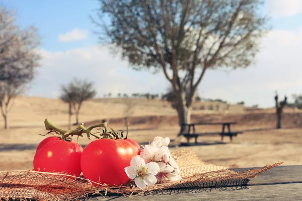 stock image Organic tomatoes healthy food