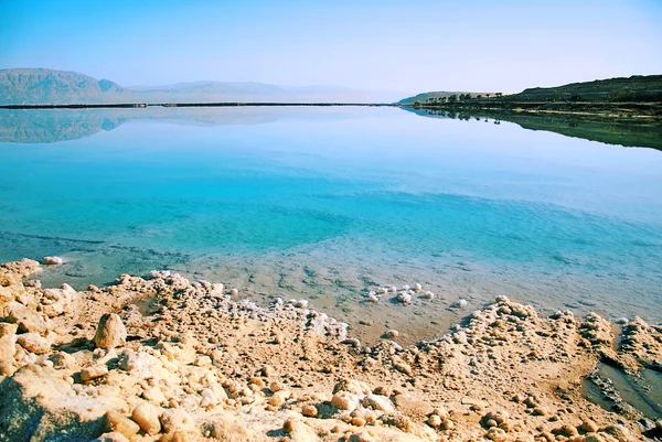 Dead Sea shore — Stock Photo, Image