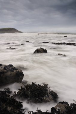 Cornwall deniz manzarası greenaway plaj.