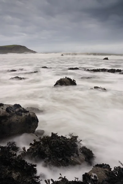 Kornwandmeerlandschaft grüner Strand. — Stockfoto