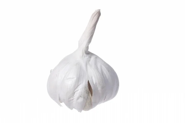 One Garlic on White Background. — Stock Photo, Image