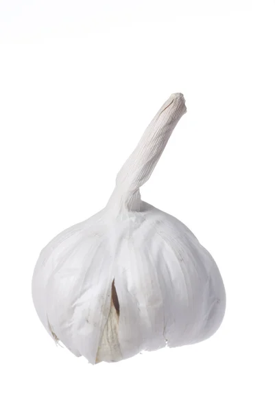One Garlic on White Background. — Stock Photo, Image