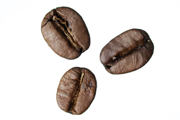 Three Arabic Coffee Beans. — Stock Photo, Image