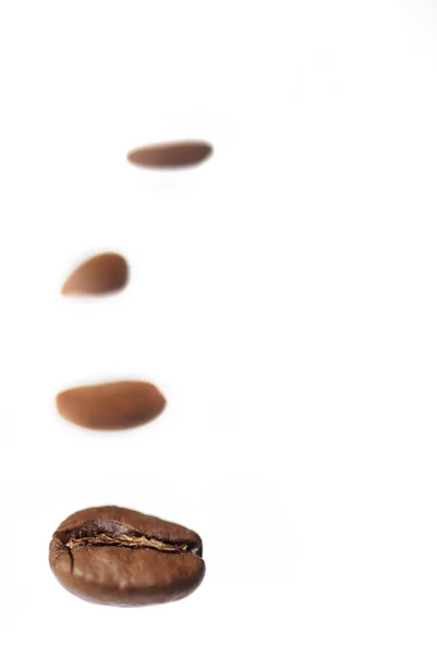 Fila de grãos de café arábica . — Fotografia de Stock