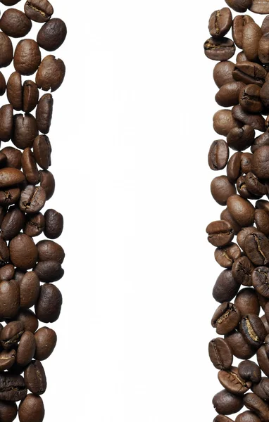 Arabica Coffee Bean Frame — Stock Photo, Image