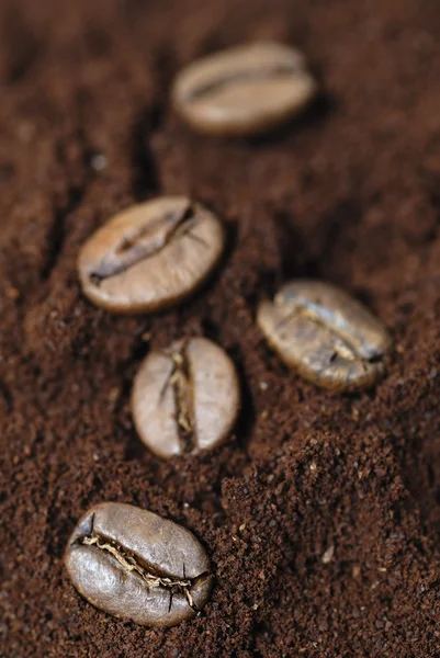 Arabic Coffe Beans on Ground Coffee. — Stock Photo, Image